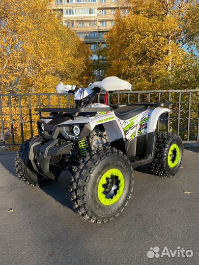 Квадроцикл Avantis Hunter 8 New Витрина