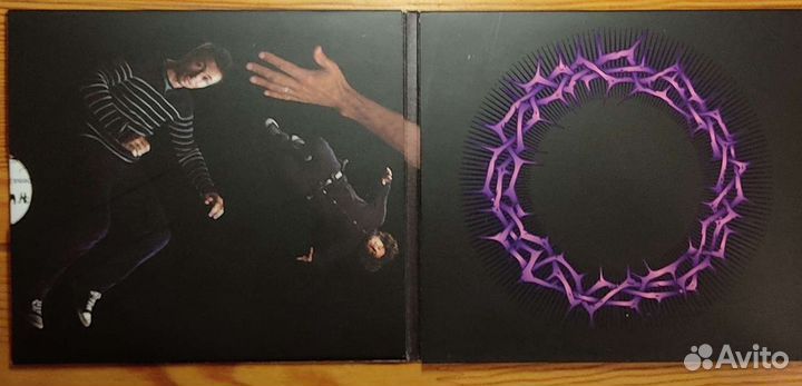 Ю-Питер Бутусов 