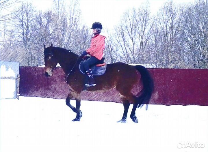 Конный клуб