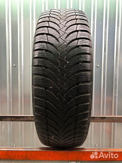 Nexen Winguard Snow G WH2 195/65 R15