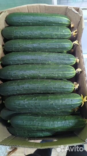 Овощи фрукты с оптовой базы и доставка