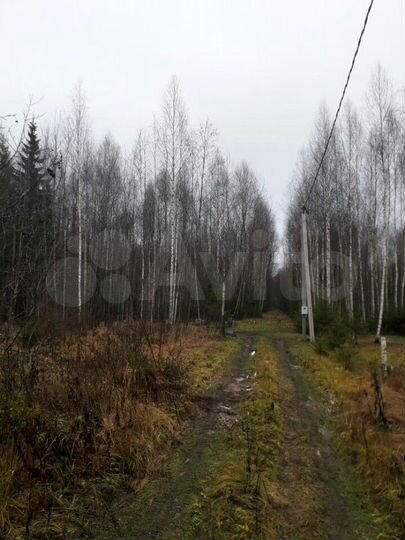 Участок 9,8 сот. (СНТ, ДНП)