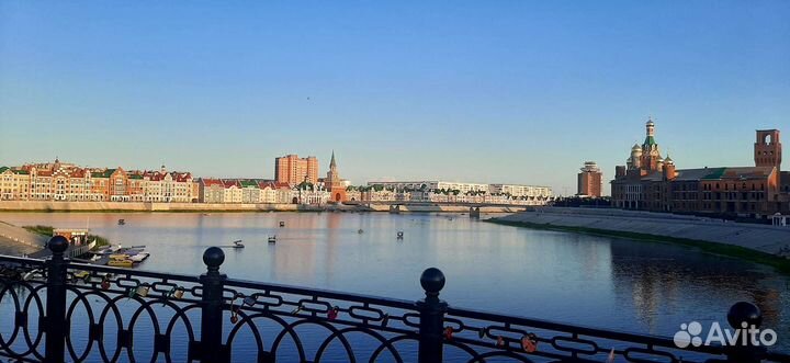 Корм для собак и кошек