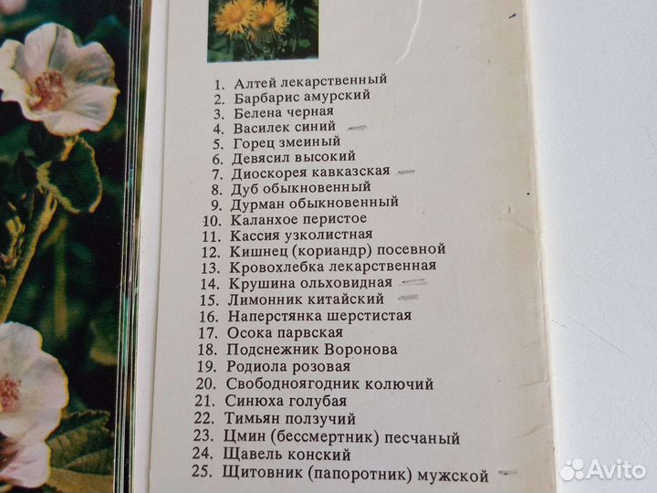 Открытки ссср, лекарственные растения