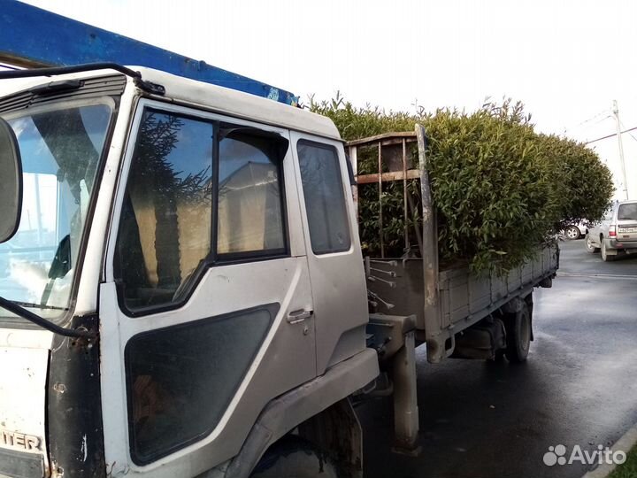 Грузоперевозки на ваш выбор от газели до бесконечн