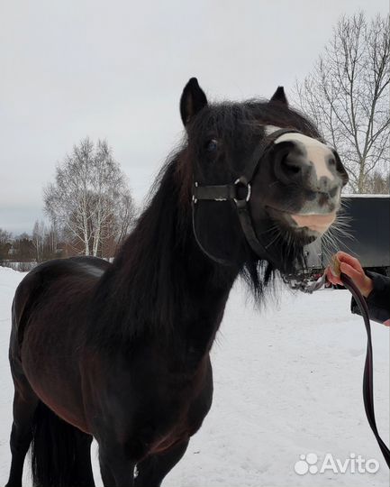 Кросс-тинкер