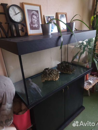 Аквариум с тумбой 250 л