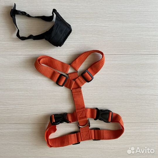 Шлейка для собаки