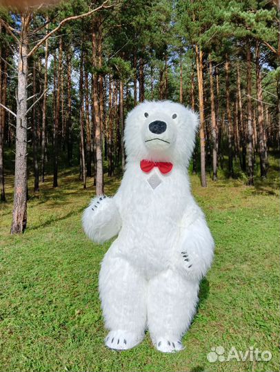 Белый Мишка 38