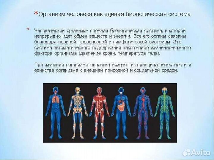 Массаж Комплекс
