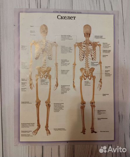 Журналы серии 