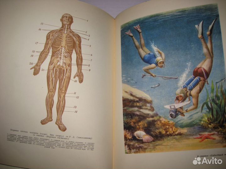 Энциклопедический словарь по спорту, 1962