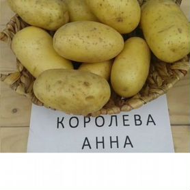 Продам картофель