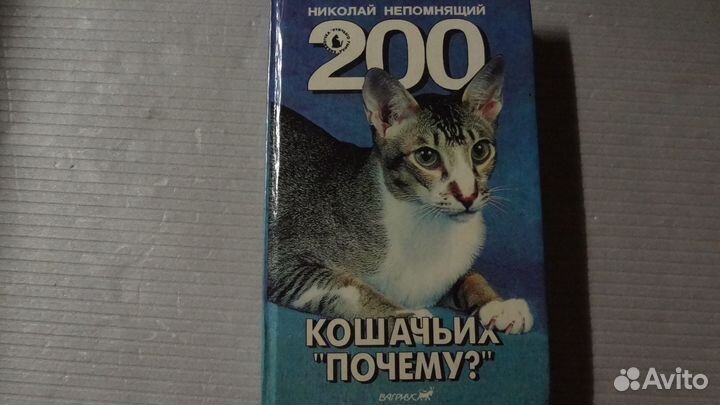 Кошки, собаки, попугаи