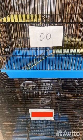 Клетки переноска