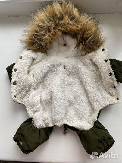 Одежда для собак