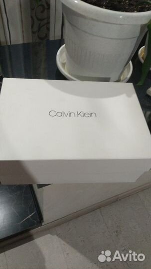 Calvin klein кеды