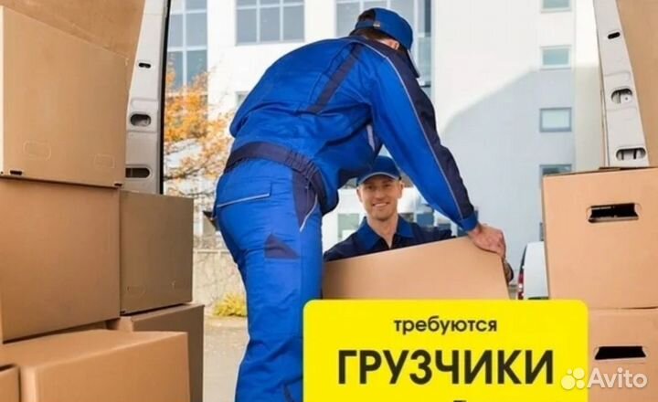 Требуются грузчики - 5 человек