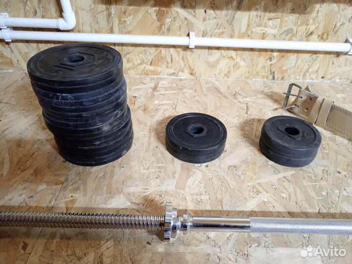 Грифы, блины