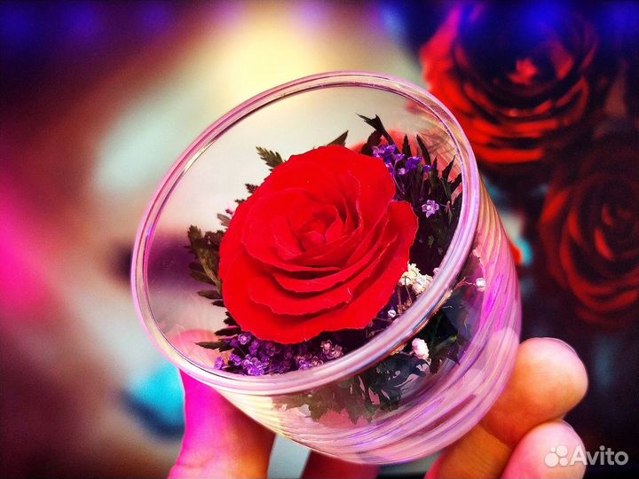 Живые цветы В стекле (вакууме)