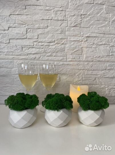 Кашпо гипсовое со мхом