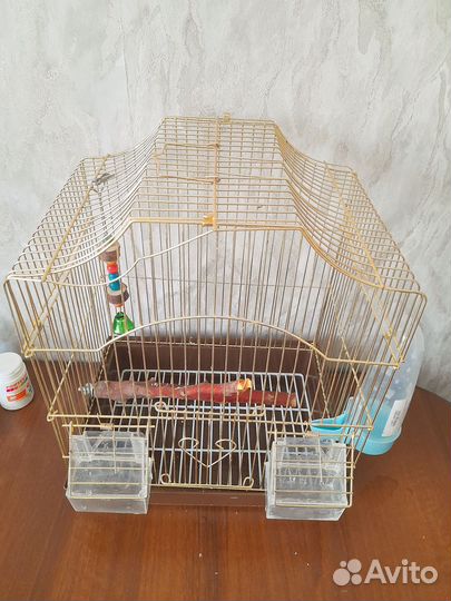 Клетка для попугая