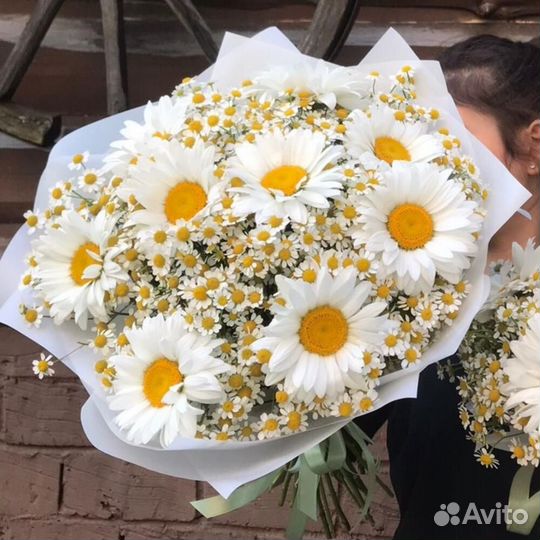 Цветы ромашки. Букеты ромашек. Ромашки. Цветы