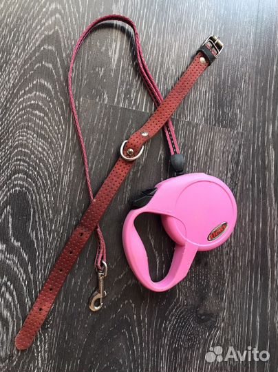 Ошейники и шлейка