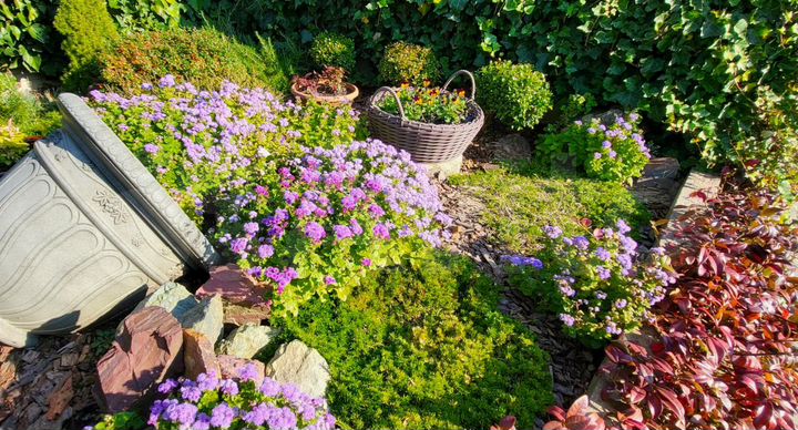 Дом 86 м² на участке 6 сот.