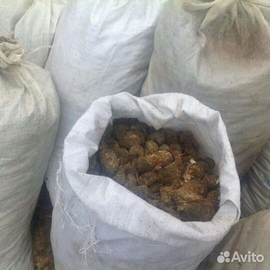 Конский навоз, доставка