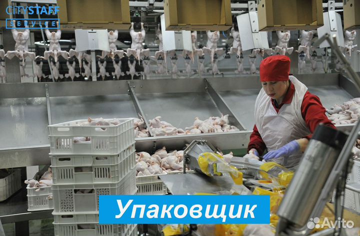 Грузчик вахтой проживание питание