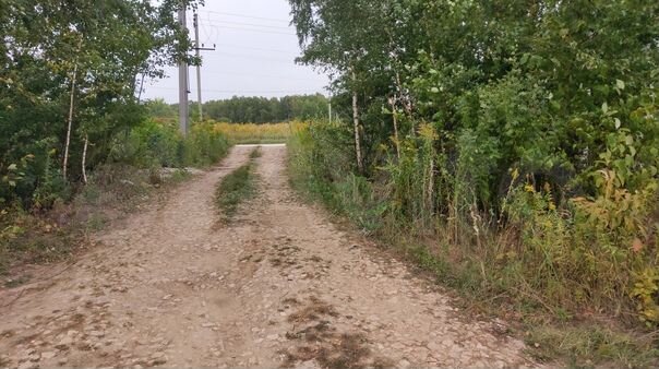 Участок 12 сот. (СНТ, ДНП)