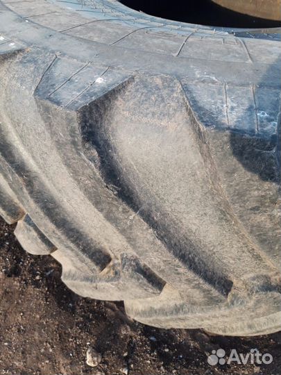 Белшина 29.5/75 R25