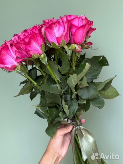 Премиум пионовидна роза 50см,Доставка