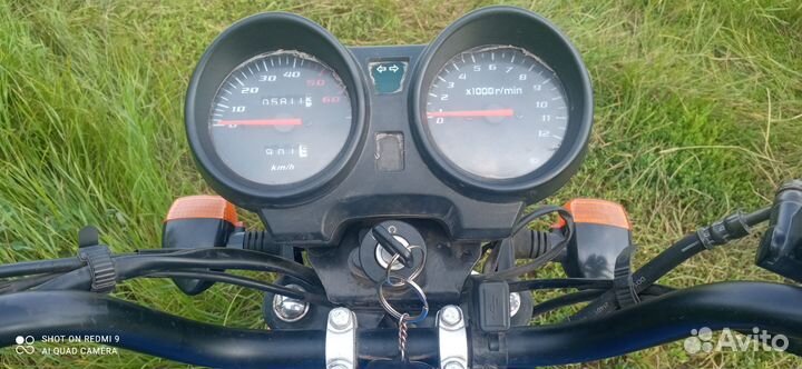 Alpha tourist 125 (49)