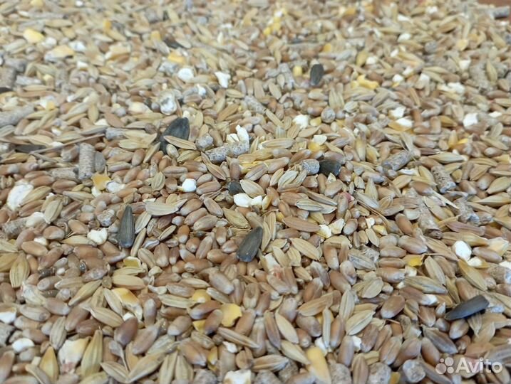 Зерносмесь