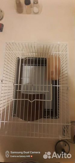 Клетка для джунгарского хомяка