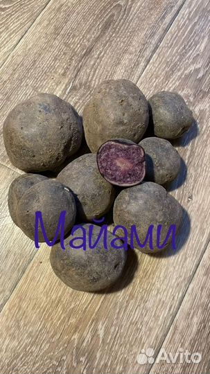 Цветной картофель на семена