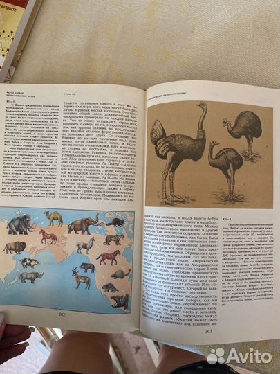 Происхождение видов.