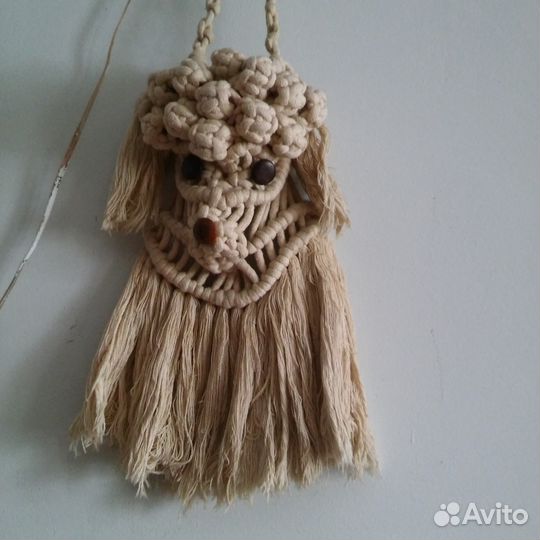 Сова и собака