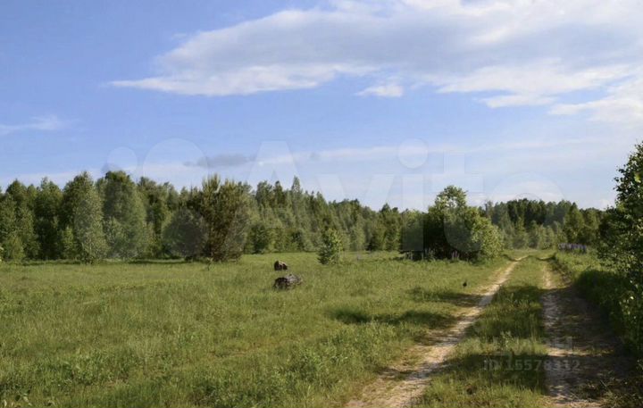 Участок 100 сот. (СНТ, ДНП)