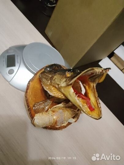 Чучело головы щуки