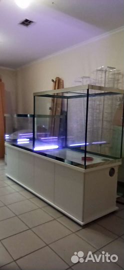 Аквариумный комплекс торговли рыбой раками комплек