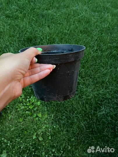 Горшки для рассады бу