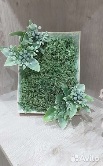 Панно из стабилизированного мха