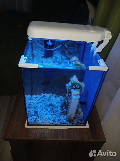 Аквариум