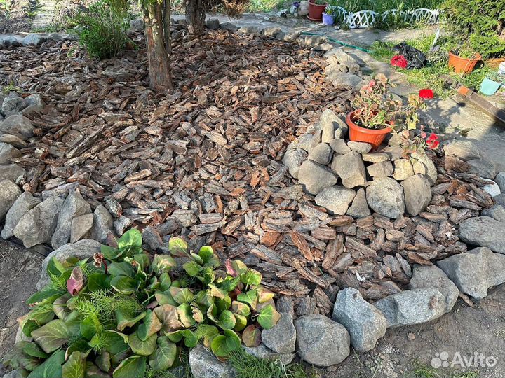 Кора сосновая