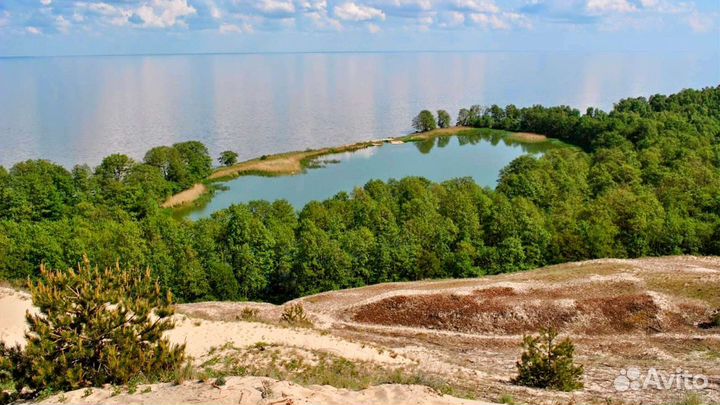 Индивидуальные экскурсии на куршскую косу