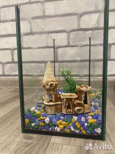 Аквариум с оборудованием
