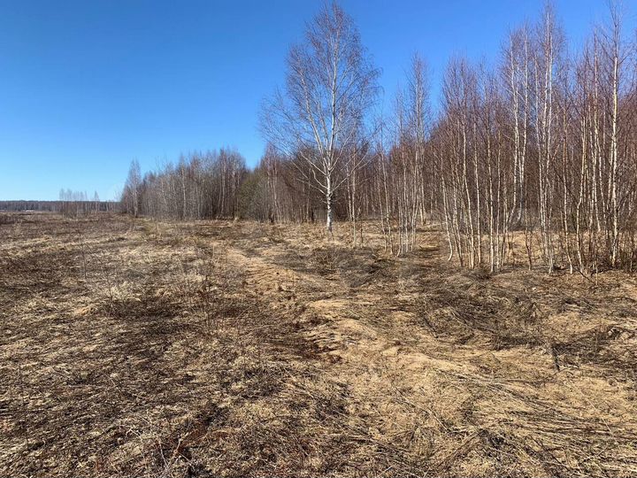 Участок 11,9 сот. (ИЖС)